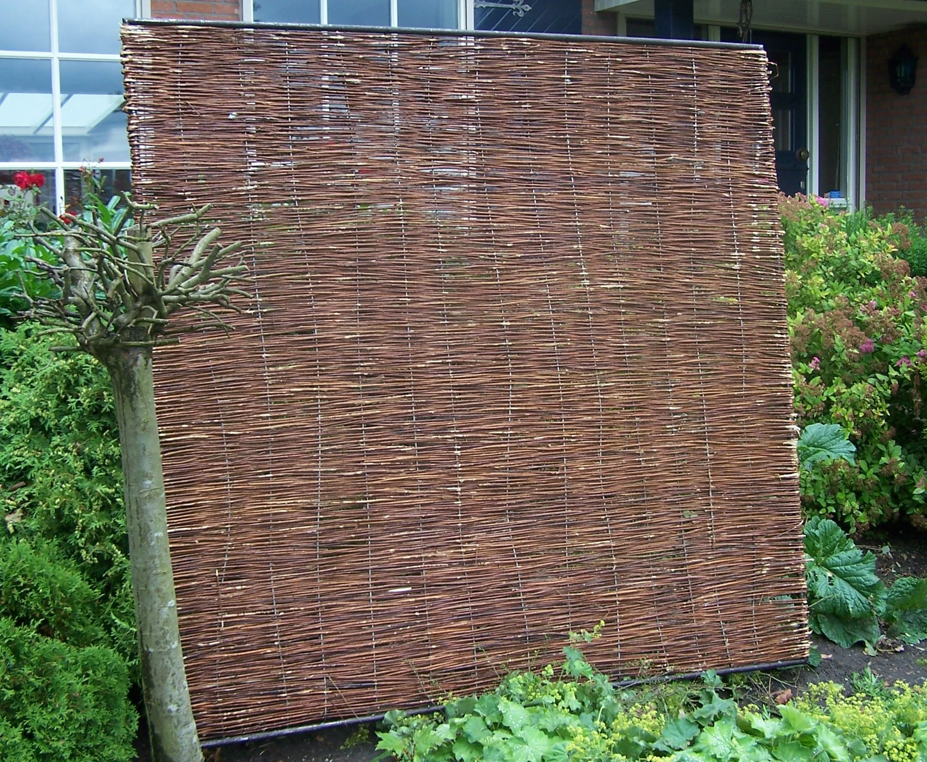 Wilgentenenscherm Fijn 180 x 180 cm - Afbeelding 3